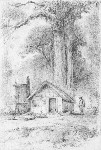 Stillings cottage, Stokes Valley, Hutt Road. 1847.